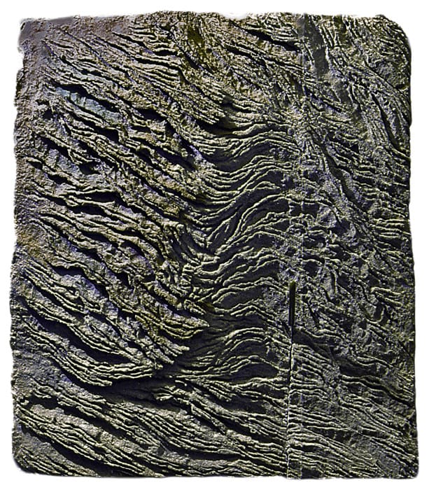 maxeri